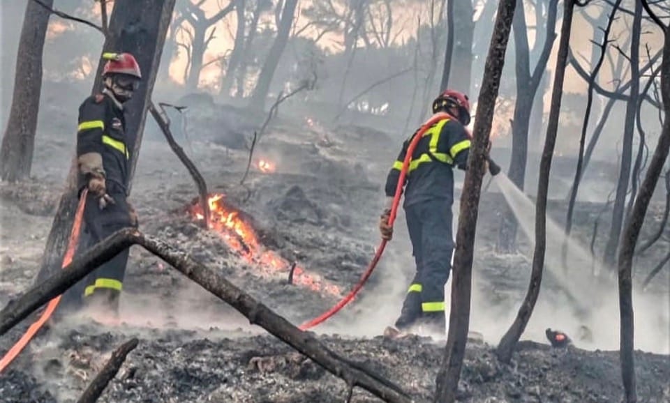 Pompieri francezi la datorie, în lupta cu incendiile de pădure din sudul Franței