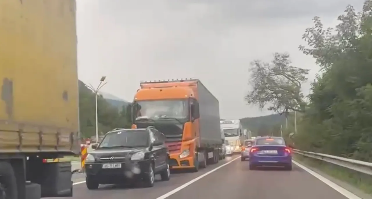 Coloană de mașini și camioane pe drumul de pe Valea Oltului, printre copaci