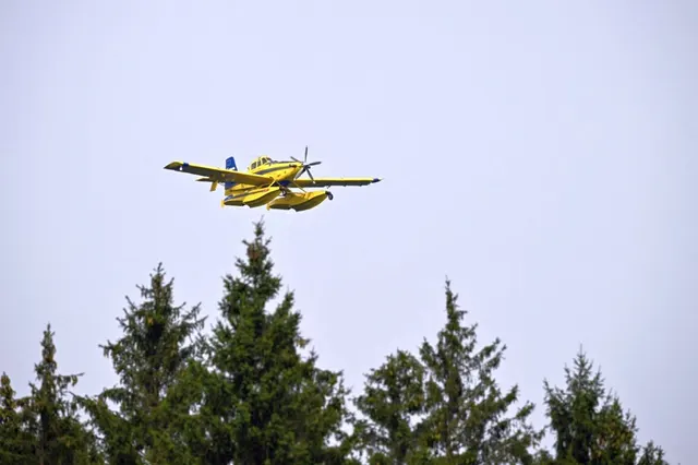 Avion galben de stingere a incendiilor, Air Tractor AT-802F Fire Boss, în zbor deasupra brazilor