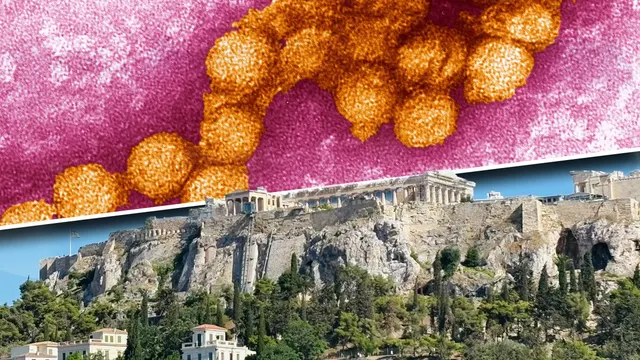 Colaj: particule de virus West Nile la microscop, deasupra unei imagini cu Acropola din Atena
