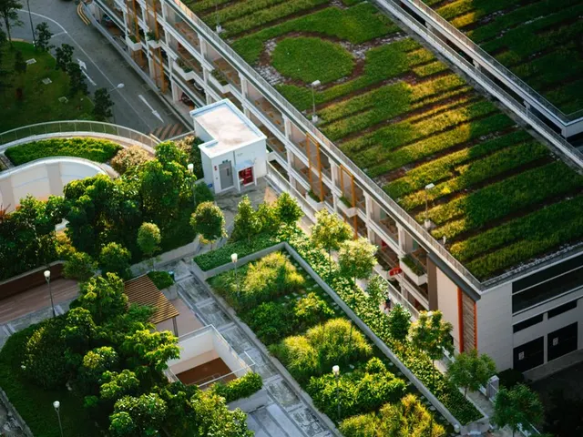 Acoperișuri verzi cu vegetație pe clădiri moderne, văzute de sus