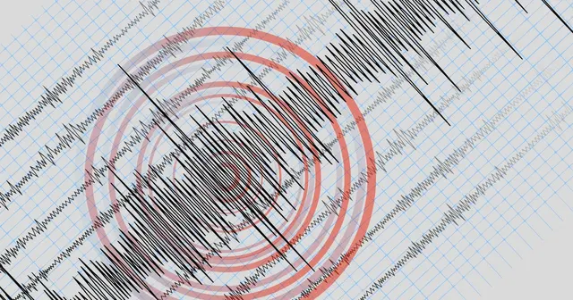Grafic: înregistrare seismografică, cu cercuri roșii concentrice care marchează un cutremur
