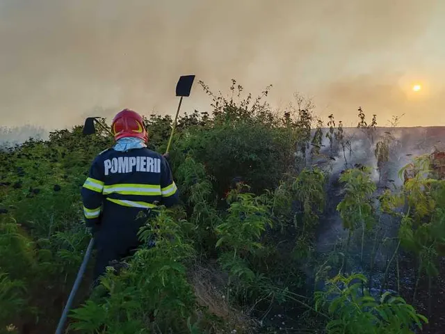 Incendiu de vegetație la Bogdănești: 70 de hectare mistuite de flăcări