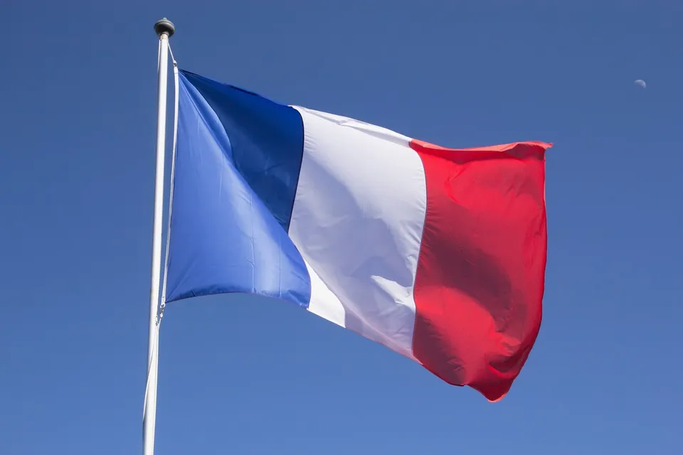 Ambasada Franței celebrează Ziua Limbii Române cu exemple din franceză
