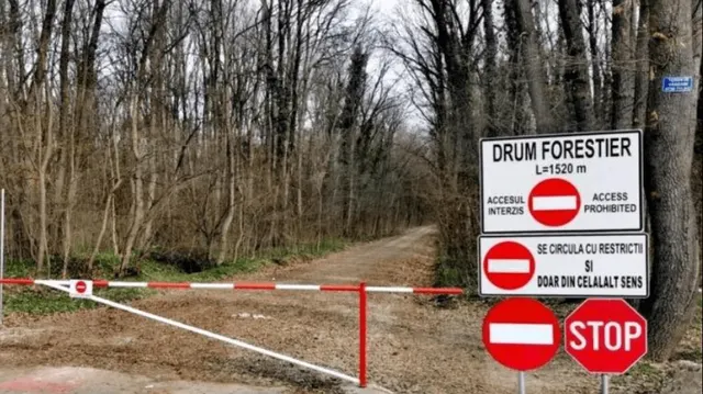 Drum forestier închis cu o barieră roșu-albă și indicatoare „Acces interzis” și „Stop”, într-o pădure