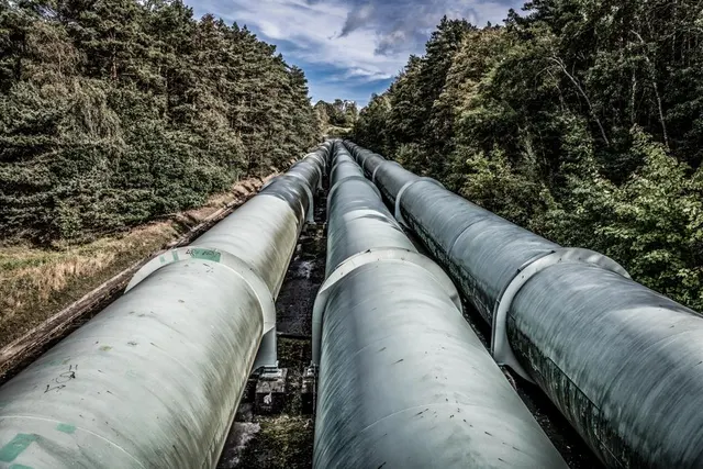Trei conducte mari care traversează o pădure