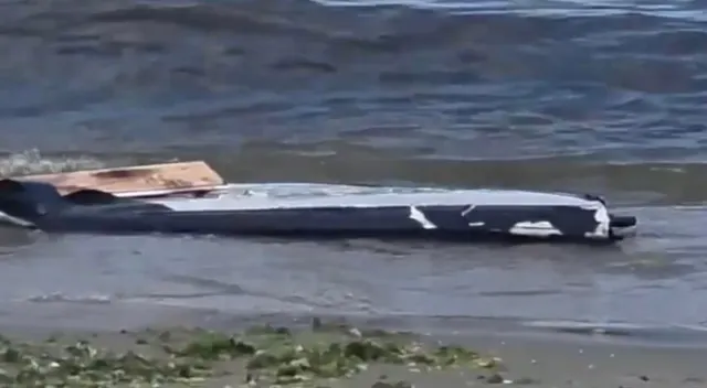Obiect alungit, închis la culoare, eșuat la marginea apei, pe o plajă