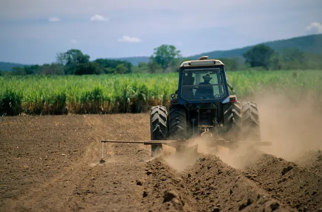 Tractor arând un câmp uscat și ridicând praf, cu o cultură înaltă și verde în spate