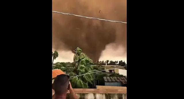 Tornadă care coboară din nori peste palmieri și case, filmată de pe o terasă