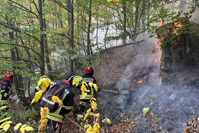 Aproape 400 de pompieri au luptat cu flăcările din Valea Cernei