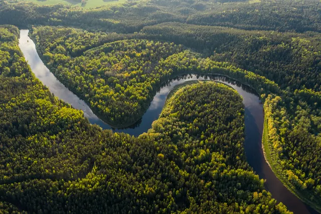 Râu care șerpuiește printr-o pădure deasă, fotografiat de sus