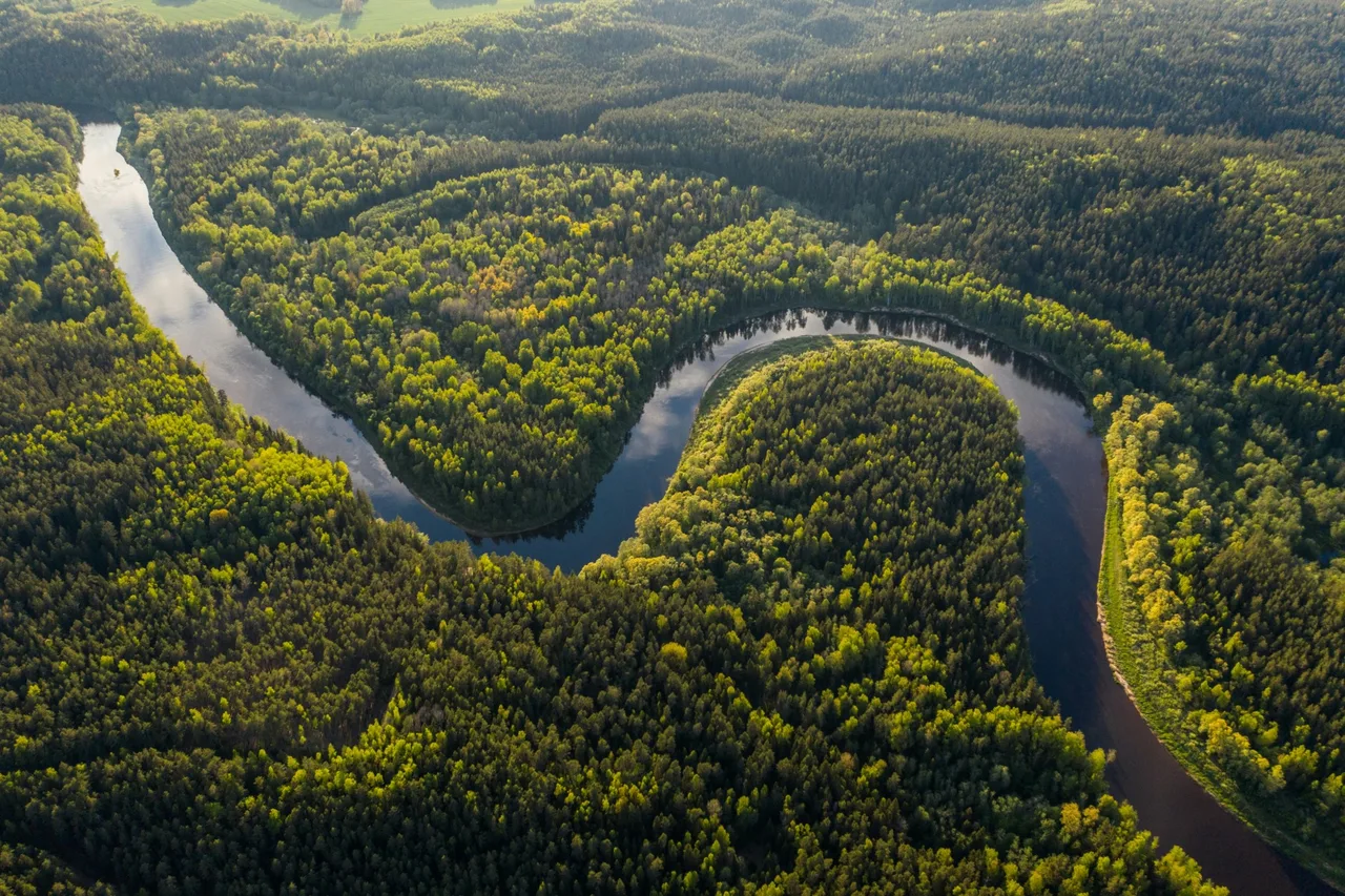 Amazonia, cel mai mic nivel al defrișărilor din istoria măsurătorilor