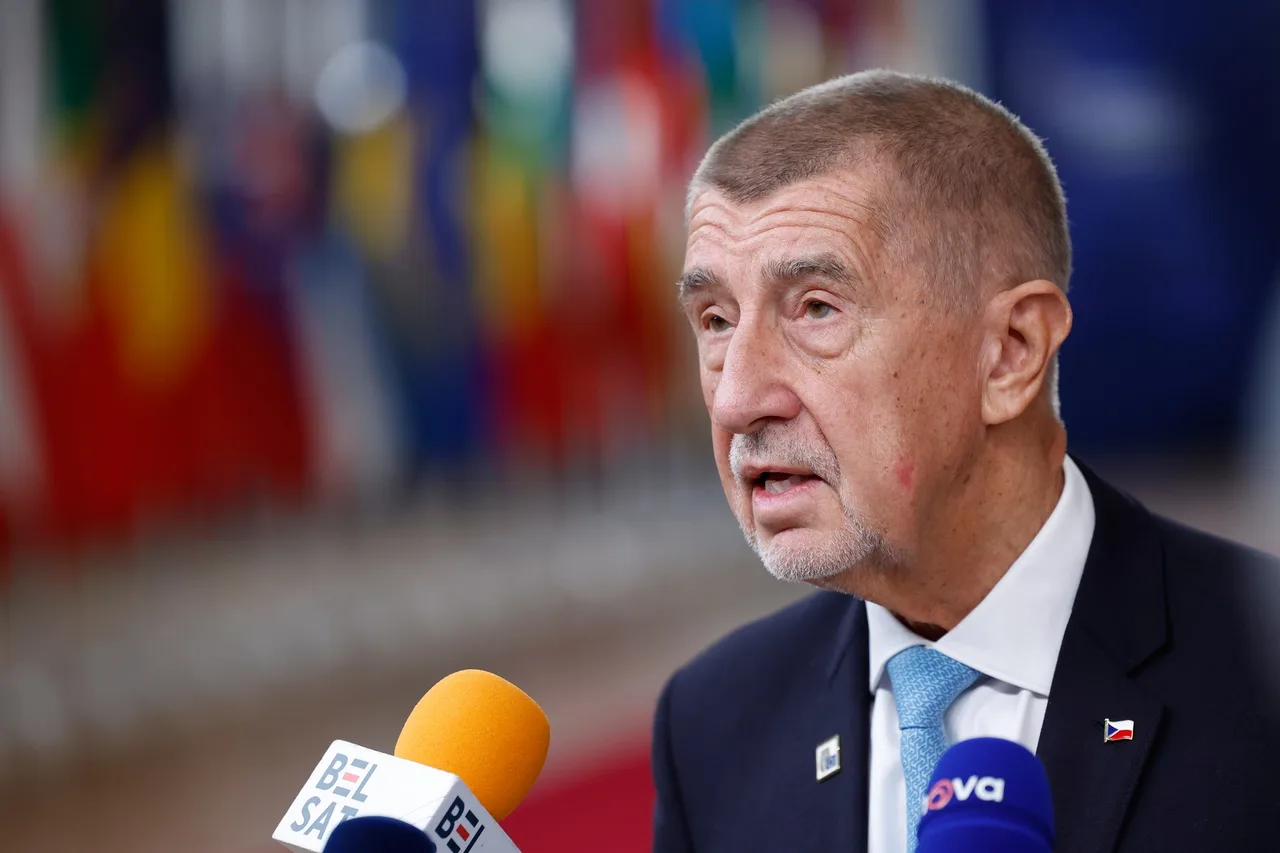Partidul lui Babiš, umilit în alegerile pentru Senatul ceh