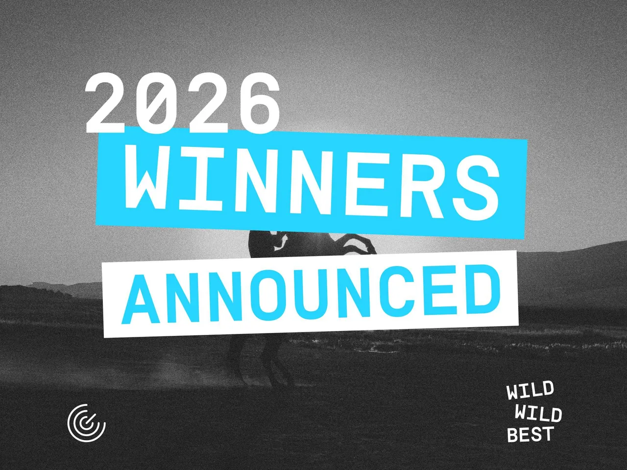 LePub Milano, marele câștigător la Golden Drum 2026