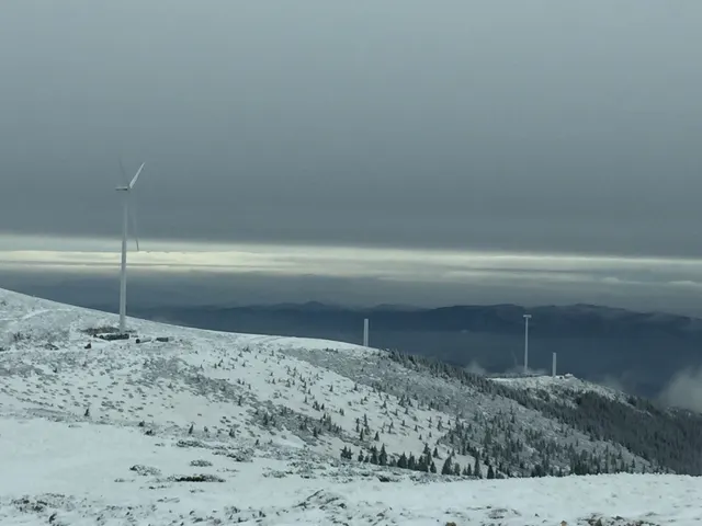 SAPE, firma statului care ține 600 de milioane de lei în depozite bancare